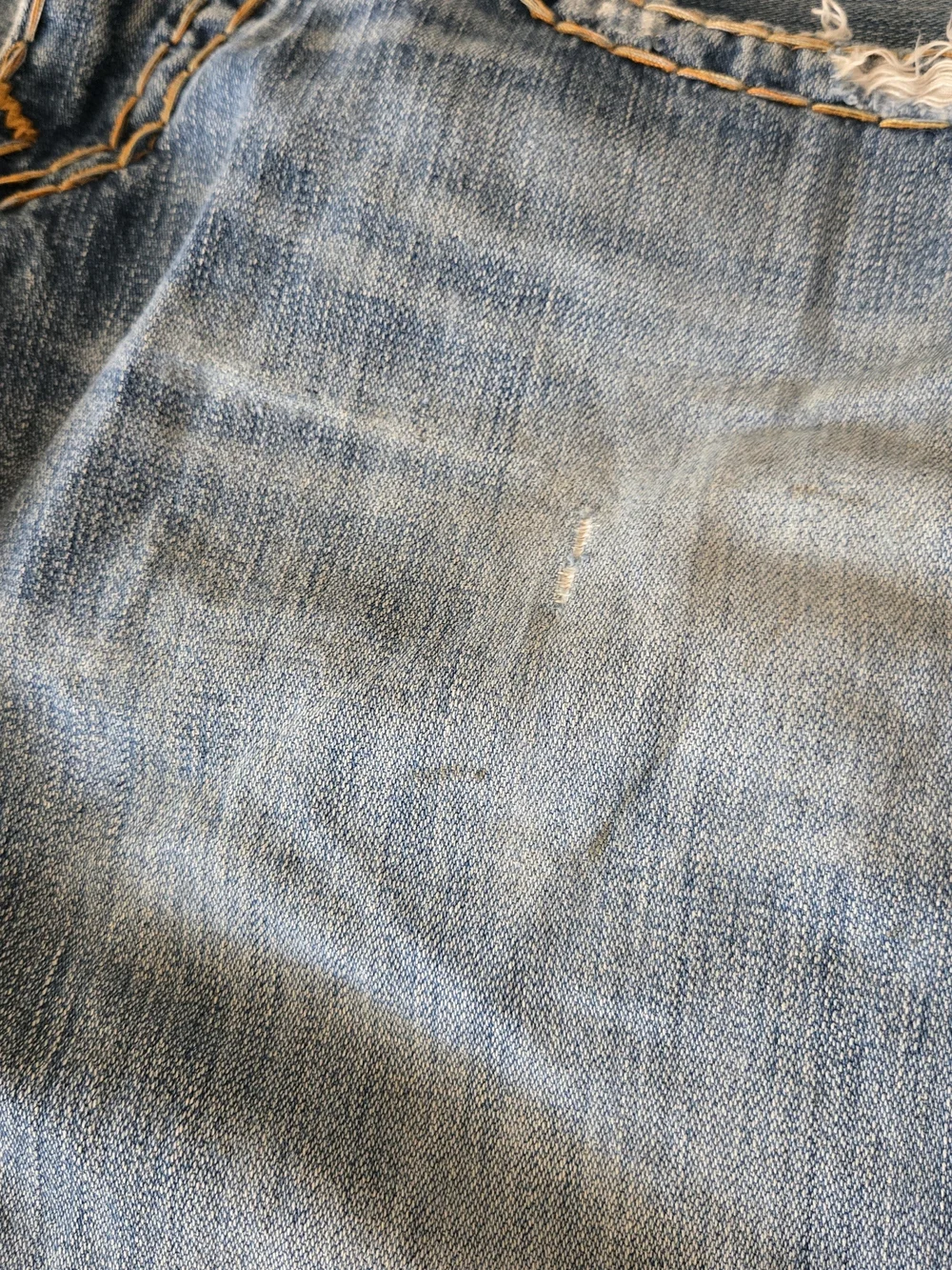 True Religion Jean